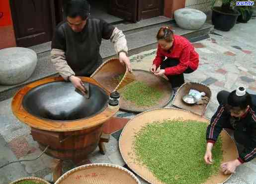 茶中之王是什么茶叶，探索茶的世界：揭开“茶中之王”的神秘面纱！