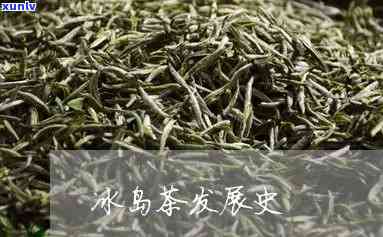 冰岛茶最早有哪年的-冰岛茶最早有哪年的产品