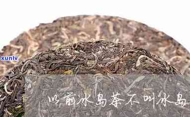 冰岛茶最早有哪年的-冰岛茶最早有哪年的产品