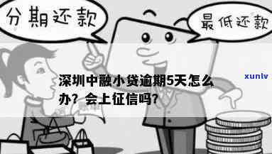 深圳中融  是不是上？对信用有何作用？合作平台可靠吗？深圳市中融  股份实力怎样？