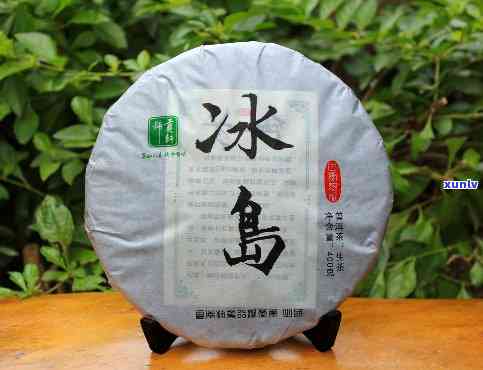 冰岛古树茶400g-冰岛古树茶400克2009年