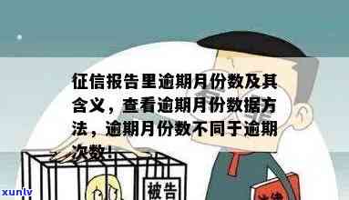 报告更高逾期期数，掌握个人信用状况：熟悉报告中的更高逾期期数