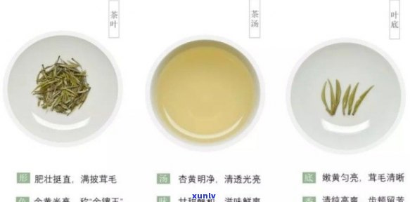 君山银针茶叶价格表：详细品种、图片与品质特征全览