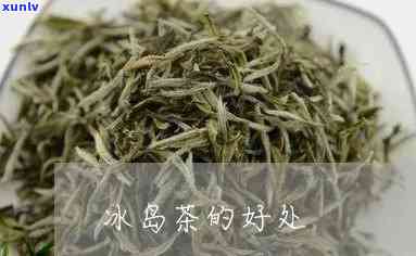 冰岛茶到底有多好呢-冰岛茶到底有多好呢图片