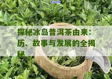 冰岛茶是哪年出名的茶叶？探究其起源和发展历程