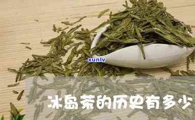 冰岛茶是哪年出名的茶叶？探究其起源和发展历程