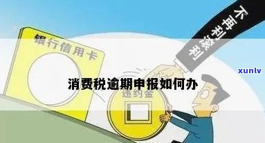 申报消费税逾期怎么办？期限、处罚及情况说明全解析