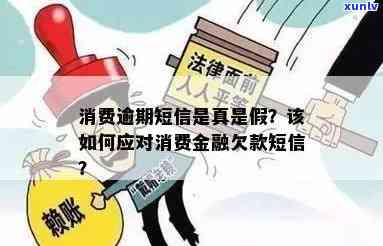 消费贷款恶意逾期短信是真的吗，真相揭秘：消费贷款恶意逾期短信是不是真实存在？