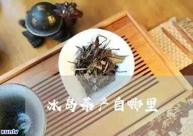 冰岛茶哪年火起来的-冰岛茶哪年火起来的