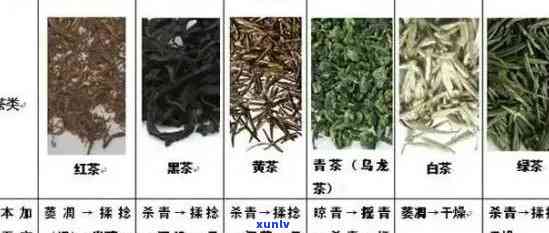 世界排名之一的茶叶是哪种茶？揭晓全球茶叶与种类！