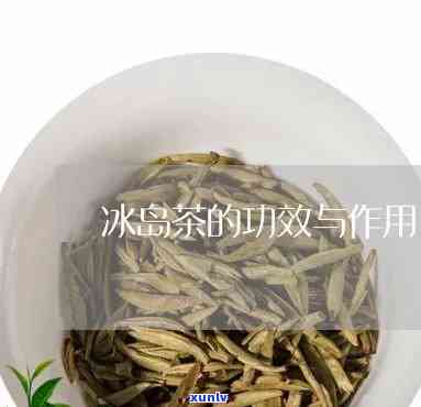 冰岛茶的功效作用及其由来