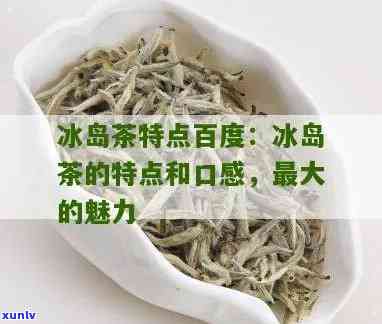 冰岛茶的特点及功效：探究顶级名茶的魅力