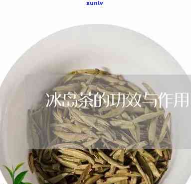 冰岛茶科普一下功效-冰岛茶有什么功效作用?