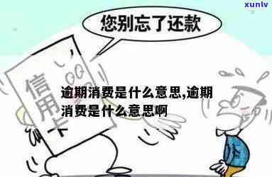 消费类逾期是什么意思-消费类逾期是什么意思啊