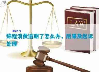 锦程消费逾期了怎么办？结果严重，可能被起诉。熟悉官网和信息，避免分期疑问。