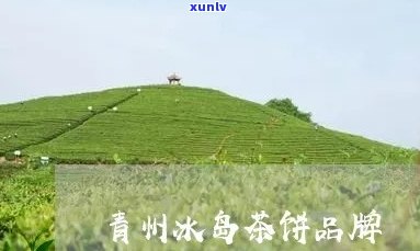 青州冰岛茶饼批发商  及地址全览，冰岛茶饼价格一览