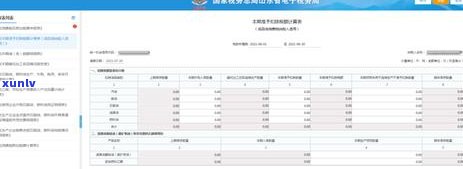 消费税逾期未申报情况说明文：怎样避免罚款？