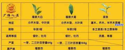 同一茶叶价格相差大的原因：深度解析与比较