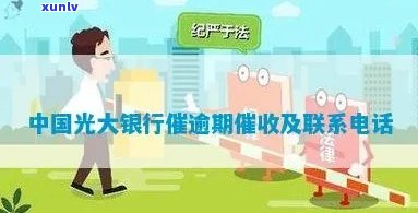 光大催款  是多少，查询光大催款  号码的  