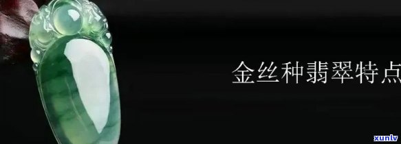 翡翠里的金丝种是什么？详解金丝种翡翠的特点、价值及产地，附高清图片欣赏