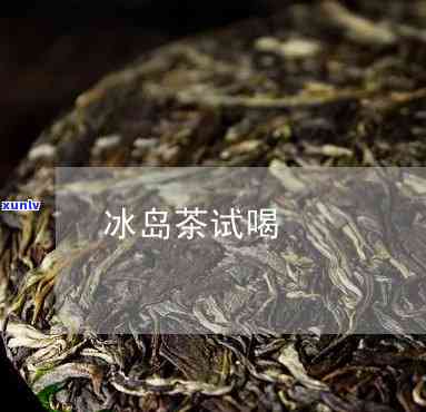 喝冰岛茶的真实生活-喝冰岛茶的真实生活视频