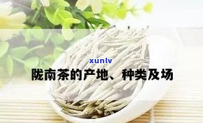 肃陇南产什么茶叶？熟悉当地茶叶品种与特色！