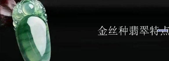 真正的金丝种翡翠产自哪里？产地、档次、特点及价格全解析！附原石图片