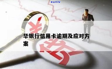 华银行逾期分期方案是什么，深入了解华银行逾期分期方案