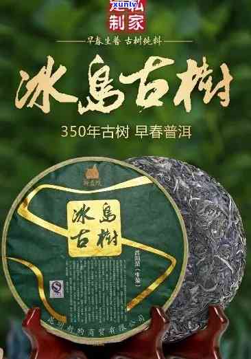 冰岛单株古树茶有吗-冰岛单株古树茶啥意思