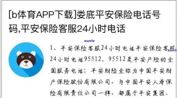 平安普金所    号码，怎样联系平安普金所  ？  号码是多少？