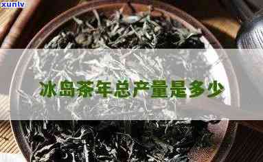 冰岛茶年产量是多少-冰岛茶年产量是多少吨