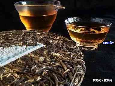 冰岛古树茶是红茶吗，探究冰岛古树茶的品种属性：它是红茶吗？