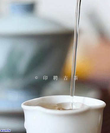 古茶源茶厂冰岛古树茶，探寻神秘的冰岛古树茶：古茶源茶厂带你领略千年茶香