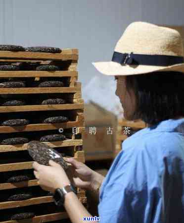 古茶源茶厂冰岛古树茶，探寻神秘的冰岛古树茶：古茶源茶厂带你领略千年茶香