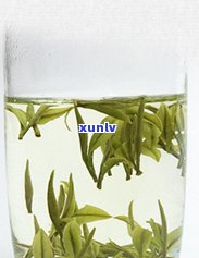 云南冰岛茶的介绍，探秘云南冰岛茶：世界顶级普洱茶的传奇故事