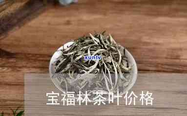 江门福宝林茶叶价格查询，最新江门福宝林茶叶价格，一网打尽！