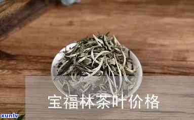 江门福宝林茶叶价格-江门福宝林茶叶价格表