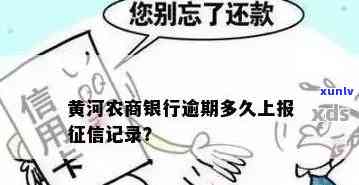 农村黄河商业银行逾期会怎么样？    是多少？