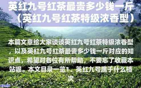 英红一号红茶价格查询：了解英红11号、茶叶品质及企业官网，一文get各号区别！