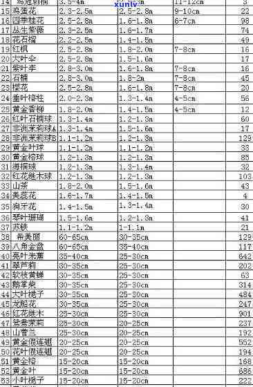 中闽草木人茶叶价格-中闽草木人茶叶价格表