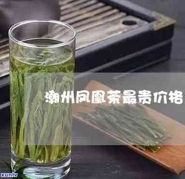 潮州凤芝茗茶叶价格-潮州凤芝茗茶叶价格表