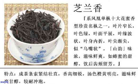 潮州凤芝茗茶叶价格-潮州凤芝茗茶叶价格表