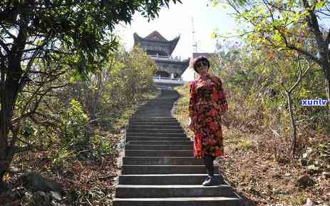 茶陵云阳山导游图，探索湖南美景：跟随茶陵云阳山导游图游览神秘山川