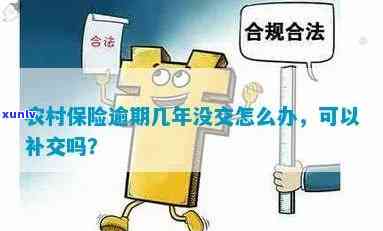 农村合作医疗逾期补交怎么办理，怎样办理农村合作医疗逾期补交？