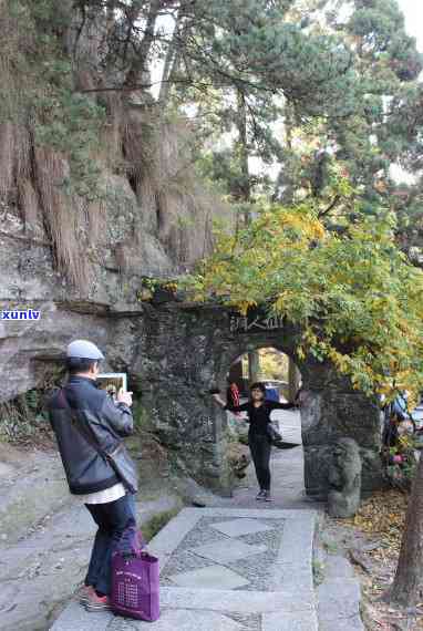 庐山五老峰茶叶价格-庐山五老峰茶叶价格表