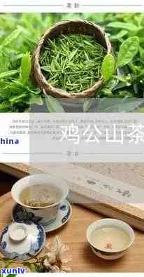 鸡公山茶叶是什么茶种？价格、图片全解析，以及泡茶专用水推荐，带你深入了解鸡公山茗茶与古茶树的魅力。