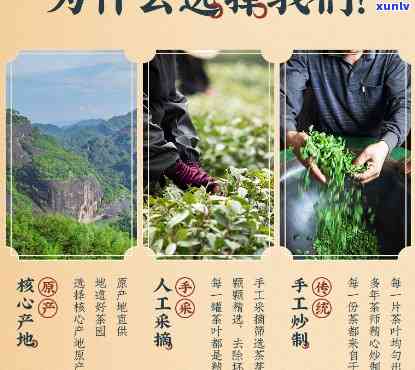 武夷山瑞芳茶叶官网，探索高品质茶叶，访问武夷山瑞芳茶叶官网