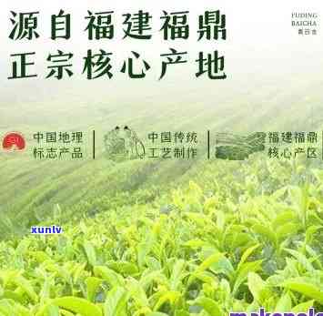 万福茶叶，万福茶叶：品味纯正茶香，享受健生活