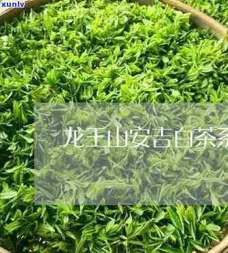 安吉龙王山茶叶价格-安吉龙王山茶叶价格表