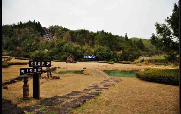 武夷山沐青茶叶价格-武夷山沐青茶叶价格表